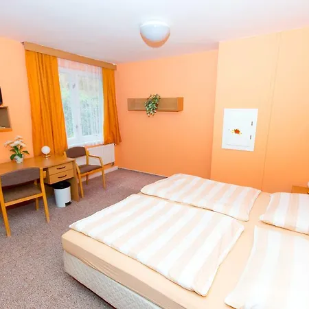 Svata Anezka 3* Horní Planá